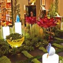 Floral Vase, Narcissus Flower Basin, Narcissus Reflection