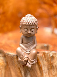 Sitting Buddha - Contemplation