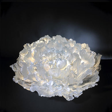 Crystal Flower, Peony, The Proof of Awareness-The Proof of Awareness (Collector's Edition)