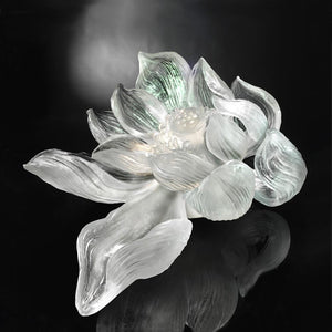 Crystal Flower, Lotus, The Proof of Awareness-Lotus Consciousness (Collector's Edition)